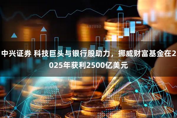 中兴证券 科技巨头与银行股助力，挪威财富基金在2025年获利2500亿美元