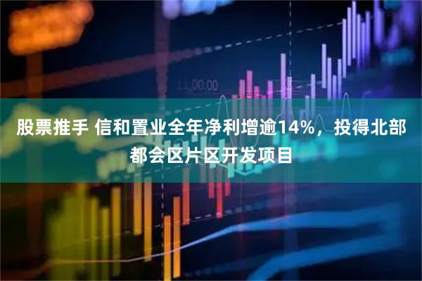 股票推手 信和置业全年净利增逾14%,投得北部都会区片区开发项目