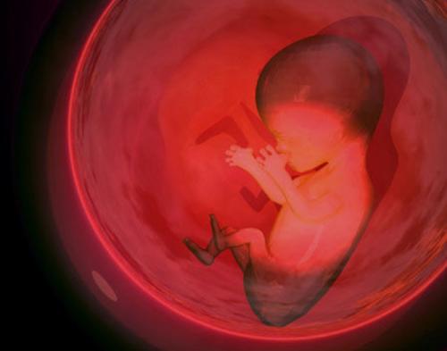 导致小胎儿的原因有哪些？