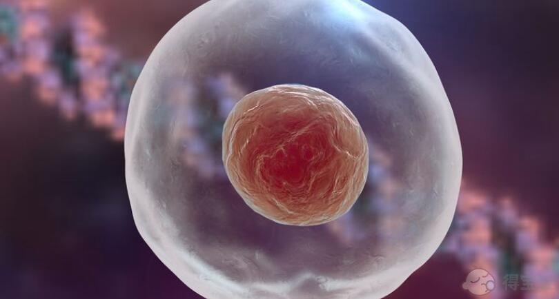 为什么超声波显示胎儿比试管婴儿移植的实际孕周小一周？