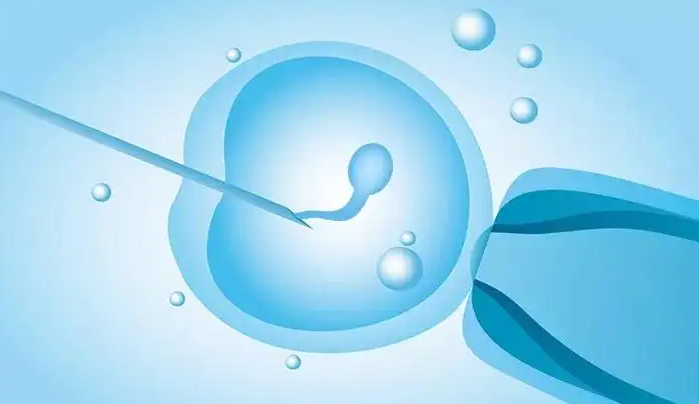 沧州捐卵医院：赤水市有哪些医院可以做试管婴儿，需要等多久？